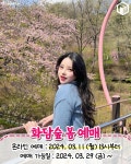 2024 봄 화담숲 예약팁 및 벚꽃 모노레일 꿀팁 총정리 < 국내 여행 < 기사본문 - 여행톡톡 2024 봄 화담숲 예약팁 및 벚꽃 모노레일 꿀팁 총정리