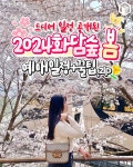 2024 봄 화담숲 예약팁 및 벚꽃 모노레일 꿀팁 총정리 < 국내 여행 < 기사본문 - 여행톡톡 2024 봄 화담숲 예약팁 및 벚꽃 모노레일 꿀팁 총정리