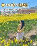 봄나들이 추천 전국 수선화 명소 BEST8 < 국내 여행 < 기사본문 - 여행톡톡 봄나들이 추천 전국 수선화 명소 BEST8