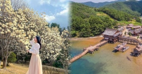 벚꽃만 보고 오기엔 아쉽잖아요... 창원 마산 가볼만한 곳 추천 BEST 5 < 국내 여행 < 기사본문 - 여행톡톡 벚꽃만 보고 오기엔 아쉽잖아요..... 