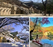 경주 가볼만한 곳 BEST 10 총정리 (+ 필수코스, 숨은명소) < 국내 여행... 여행톡톡 경주 가볼만한 곳 BEST 10 총정리 (+ 필수코스, 숨은명소)