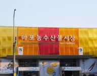 가족 나들이에 딱!...마포의 숨겨진 명소 4곳 < 국내 여행 < 기사본문 - 여행톡톡 가족 나들이에 딱!...마포의 숨겨진 명소 4곳