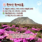 5월 제주도 여행지 가볼만한곳 BEST 8 < 국내 여행 < 기사본문 - 여행톡톡 5월 제주도 여행지 가볼만한곳 BEST 8