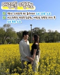 2024 한강 서래섬 유채꽃 축제 총정리 (+프로그램, 대중교통, 주차) < 축제 & 전시 < 기사본문 - 여행톡톡 2024 한강 서래섬 유채꽃 축제 총정리... 