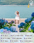 5월 6월 봄꽃 여행지 추천 총정리 BEST 9 (+개화시기, 지도공유) < 국내 여행 < 기사본문 - 여행톡톡 5월 6월 봄꽃 여행지 추천 총정리 BEST 9... 