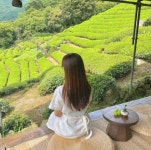 일상 속 쉼이 필요할 때... 나만의 리틀 포레스트 촌캉스 숙소 6곳 추천 < 숙소&맛집 < 기사본문 - 여행톡톡 일상 속 쉼이 필요할 때... 나만의... 