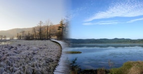 여길 갔다오면 자연의 소중함을 알게되지! 정양늪과 우포늪 이모저모... 갔다오면 자연의 소중함을 알게되지! 정양늪과 우포늪 이모저모 3가지