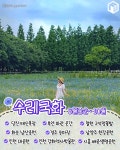 여름꽃 여행지 추천 총정리 BEST10 (+개화시기, 지도공유) < 국내 여행 < 기사본문 - 여행톡톡 여름꽃 여행지 추천 총정리 BEST10 (+개화시기... 
