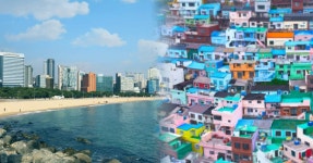 "언제까지 일출만 보러 갈건가요?" 강원도 동해 여행 꿀팁 BEST4 < 국내 여행 < 기사본문 - 여행톡톡 "언제까지 일출만 보러 갈건가요?" 강원도... 