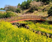 제주 중문 가볼만한 곳 BEST 10 (+가족여행, 액티비티) < 국내 여행 < 기사본문 - 여행톡톡 제주 중문 가볼만한 곳 BEST 10 (+가족여행, 액티비티)