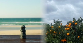 제주하면 역시 이거지! 제주에서 맛보는, 귤 디저트 맛집 BEST 5... 여행톡톡 제주하면 역시 이거지! 제주에서 맛보는, 귤 디저트 맛집 BEST 5