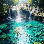 관광객 피해 제주도민이 몰래 가는... 숨은 제주도 스노클링 스팟 추천 TOP5 < 국내 여행 < 기사본문 - 여행톡톡 관광객 피해 제주도민이 몰래... 