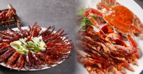 장췐이 반한 그 메뉴! 당신의 미각을 유혹할 마라롱샤 4대 맛집 < 숙소&맛집 < 기사본문 - 여행톡톡 장췐이 반한 그 메뉴! 당신의 미각을 유혹할... 