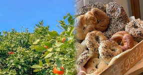 오설록 티뮤지엄 옆 맛의 세계 - 여행객 추천 제주 맛집 BEST 5... 여행톡톡 오설록 티뮤지엄 옆 맛의 세계 - 여행객 추천 제주 맛집 BEST 5