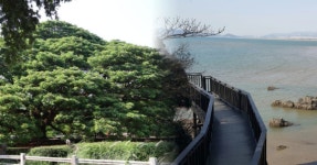 스카이워크부터 모시 짜기까지!충남 서천에서 즐기는 이색 체험 여행 5가지 < 국내 여행 < 기사본문 - 여행톡톡 스카이워크부터 모시 짜기까지!... 