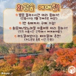 2024 화담숲 단풍시기 예약 팁 예약 오픈 시간 총정리 < 축제 & 전시 < 기사본문 - 여행톡톡 2024 화담숲 단풍시기 예약 팁 예약 오픈 시간 총정리