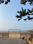 자연 속 힐링 여행 전국 캠핑 명소 베스트 5 < 국내 여행 < 기사본문 - 여행톡톡 자연 속 힐링 여행 전국 캠핑 명소 베스트 5