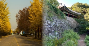 수인분당선으로 즐기는 자연과 문화 투어! 경기 성남시, 도심 속 힐링 여행지 5곳 < 국내 여행 < 기사본문 - 여행톡톡 수인분당선으로 즐기는... 