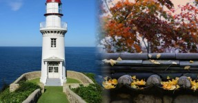 서해 최서단 섬의 숨은 매력! 군산 어청도, 트래킹 명소 베스트 4... 여행톡톡 서해 최서단 섬의 숨은 매력! 군산 어청도, 트래킹 명소 베스트 4