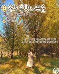 올 가을 놓치면 후회하는 국내 은행 나무 명소 TOP9 추천 < 국내 여행 < 기사본문 - 여행톡톡 올 가을 놓치면 후회하는 국내 은행 나무 명소 TOP9... 