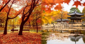 멀리까지 가지 마세요!!... 서울 단풍 명소 추천 BEST5 < 국내 여행 < 기사본문 - 여행톡톡 멀리까지 가지 마세요!!... 서울 단풍 명소 추천 BEST5