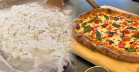 순두부부터 화덕피자까지! 전북 완주 입맛 사로잡는 맛집 5곳 < 숙소&맛집 < 기사본문 - 여행톡톡 순두부부터 화덕피자까지! 전북 완주 입맛... 