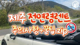 제주 전연령 렌트카 주의사항 꿀팁 총정리 (+보험, 준비물) < 여행 꿀팁 < 기사본문 - 여행톡톡 제주 전연령 렌트카 주의사항 꿀팁 총정리 (+보험... 