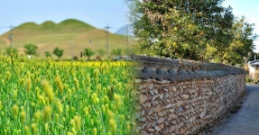 겨울에도 즐거운 여행지가 있다고? 충남 홍성 가볼만한 명소 BEST 5... 즐거운 여행지가 있다고? 충남 홍성 가볼만한 명소 BEST 5 추천