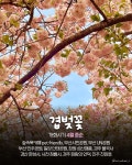 나만 알고싶은 경상도 봄꽃 여행지 가볼만한 곳 추천 < 국내 여행 < 기사본문 - 여행톡톡 나만 알고싶은 경상도 봄꽃 여행지 가볼만한 곳 추천