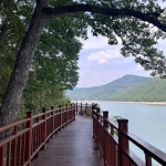 "봄기운 가득한 강변을 따라!" 전남 장성군, 황룡강변의 봄 기운과 역사 여행지 < 국내 여행 < 기사본문 - 여행톡톡 "봄기운 가득한 강변을 따라!... 