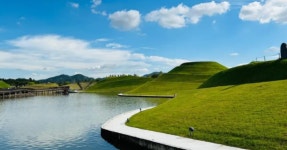 순천만습지부터 스카이큐브까지!봄꽃 만발한 순천만국가정원, 생태와 문화의 향연 < 국내 여행 < 기사본문 - 여행톡톡 순천만습지부터... 