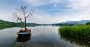 봄의 서정이 흐르는 강변 여행! 양평 두물머리, 일출부터 레일바이크까지 관광 코스 추천 < 국내 여행 < 기사본문 - 여행톡톡 봄의 서정이 흐르는... 