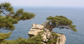 자연의 아름다움을 만나는 여행! 속초에서 만나는 모노골 산림욕장과 동해 바다 < 국내 여행 < 기사본문 - 여행톡톡 자연의 아름다움을 만나는... 