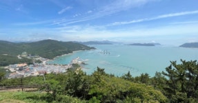 일출과 수목원 산책, 그리고 대흥사와 달마산까지! 전남 해남, 특별한... 그리고 대흥사와 달마산까지! 전남 해남, 특별한 하루가 될만한 명소 4곳