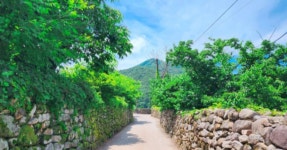 산과 들, 고택과 사찰, 그리고 영화 촬영지까지! 경북 군위군, 자연과... 여행톡톡 산과 들, 고택과 사찰, 그리고 영화 촬영지까지! 경북 군위군... 