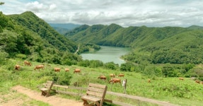 7만 평 초원에서 춘천호를 내려다보며 한우버거 한 입! 춘천 해피초원목장, 한국의 알프스 체험 가이드 < 국내 여행 < 기사본문 - 여행톡톡 7만... 