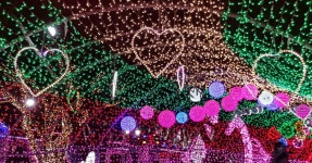 사진·체험·로맨스가 모두 있는 곳! 별빛동화마을, 여름밤을 수놓는 환상 여행지 < 국내 여행 < 기사본문 - 여행톡톡 사진·체험·로맨스가 모두... 