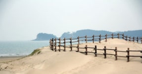 국내 최대 규모의 모래언덕! 태안 신두리, 거대 모래언덕과 바다가... 최대 규모의 모래언덕! 태안 신두리, 거대 모래언덕과 바다가 만나는 산책로