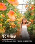 주황빛 폭포의 향연, 전국 능소화 명소 추천 총정리 BEST 7 < 국내 여행 < 기사본문 - 여행톡톡 주황빛 폭포의 향연, 전국 능소화 명소 추천... 