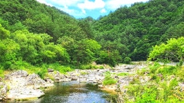 찐 계곡러들이 가는 강원도 계곡 < 국내 여행 < 기사본문 - 여행톡톡 다녀와보면 알아요, 왜 강원도 명품 계곡인지... 찐 계곡러들이 가는... 