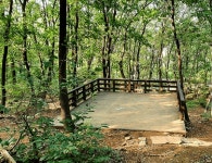 한여름에 힐링 가능한 피톤치드 가득 머금은 산림욕장 BEST 4 추천... ...한여름에 힐링 가능한 피톤치드 가득 머금은 산림욕장 BEST 4 추천