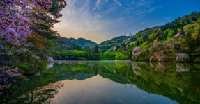 무등산 계곡부터 천불천탑까지! 화순 여름 여행 핫플 알아보기 < 국내 여행 < 기사본문 - 여행톡톡 무등산 계곡부터 천불천탑까지! 화순 여름... 