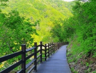 산에서 찾은 여름의 평화!...운동과 휴식을 동시에 누릴 수 있는경기도 등산 명소 BEST 4 추천 < 국내 여행 < 기사본문 - 여행톡톡 산에서 찾은... 