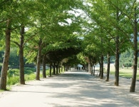 전혀 외롭지 않아!...정적인 매력으로 힐링하기 좋은 국내 여행지 BEST 4 추천 < 국내 여행 < 기사본문 - 여행톡톡 전혀 외롭지 않아!...... 