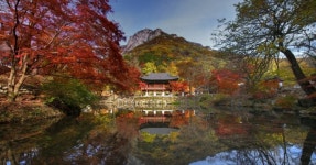 두 계곡이 만나 연못에 비친 누각의 환상적 뷰!...작가들이 선호하는 촬영 명소 < 국내 여행 < 기사본문 - 여행톡톡 두 계곡이 만나 연못에 비친... 