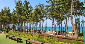 전망대 루프탑, 해변 산책, 신선한 베이커리까지!… 오션뷰 즐기는 초대형 복합 공간 < 국내 여행 < 기사본문 - 여행톡톡 전망대 루프탑, 해변... 