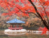 여긴 잘 모를걸?...아직 잘 알려지지 않은 단풍 여행지 BEST 4 추천 < 국내 여행 < 기사본문 - 여행톡톡 여긴 잘 모를걸?...아직 잘 알려지지... 