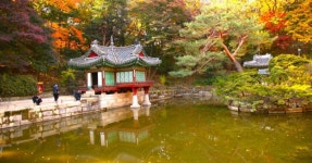 은행나무 단풍과 왕실 정자를 즐기다…가을 궁중의 매력에 빠지는 순간 < 국내 여행 < 기사본문 - 여행톡톡 은행나무 단풍과 왕실 정자를 즐기다... 