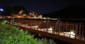 “가을 노을에 억새가 춤춘다!”…수변길 따라 펼쳐지는 영화같은... “가을 노을에 억새가 춤춘다!”…수변길 따라 펼쳐지는 영화같은 산책의 한... 