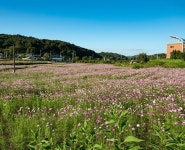 숨은 가을 명소 총집합!...지금 떠나기 딱 좋은 가을 대전 가볼만한 곳 BEST 4 추천 < 국내 여행 < 기사본문 - 여행톡톡 숨은 가을 명소... 